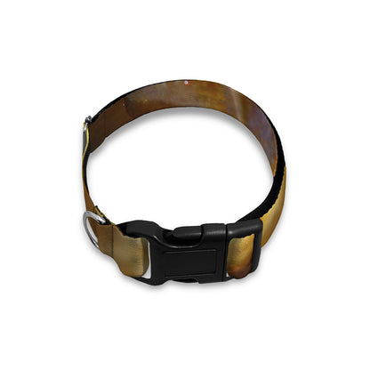 Malagasy Cat Eyed Snake Print Dog Collar