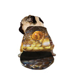 Malagasy Cat Eyed Snake Print Dog Zip Up Jacket