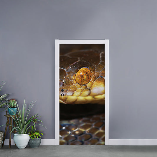 Malagasy Cat Eyed Snake Print Door Sticker