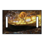 Malagasy Cat Eyed Snake Print Golf Cart Seat Cover