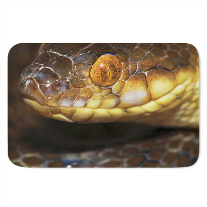 Malagasy Cat Eyed Snake Print Indoor Door Mat