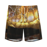Malagasy Cat Eyed Snake Print Men's Sports Shorts