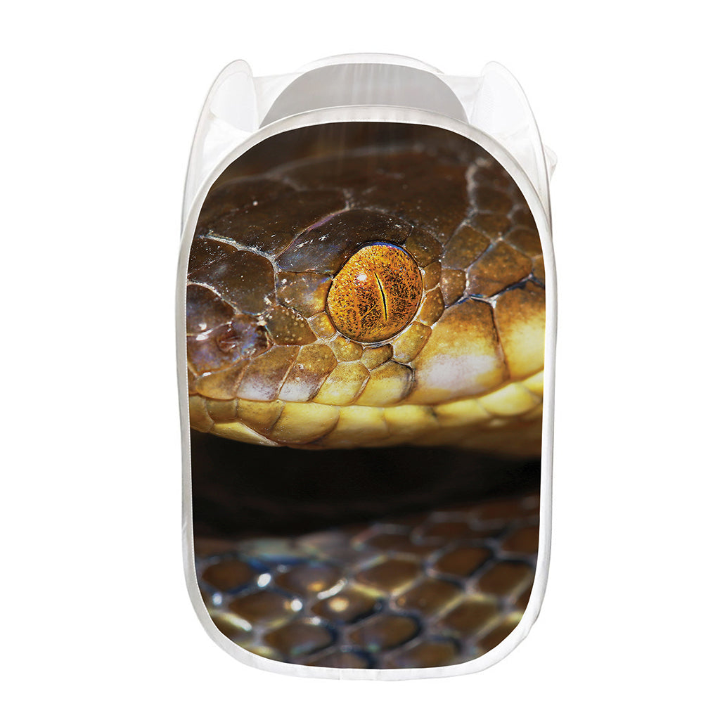 Malagasy Cat Eyed Snake Print Mesh Laundry Hamper