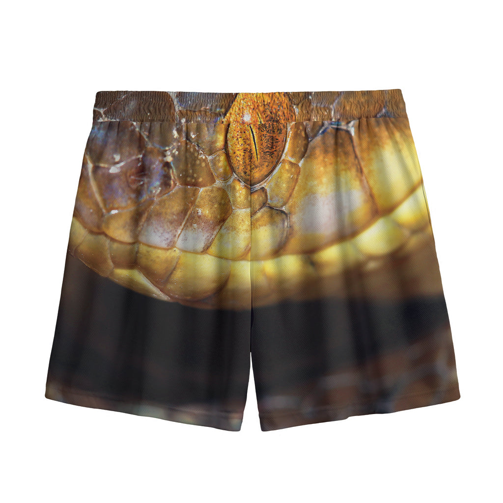 Malagasy Cat Eyed Snake Print Mesh Shorts