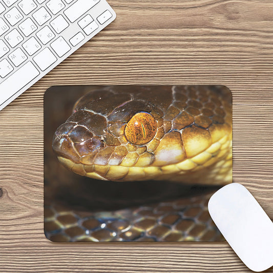 Malagasy Cat Eyed Snake Print Mouse Pad