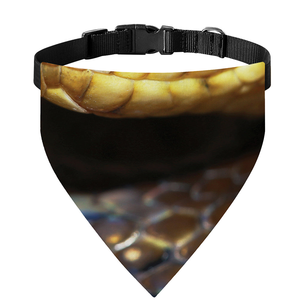 Malagasy Cat Eyed Snake Print Over The Collar Dog Bandana