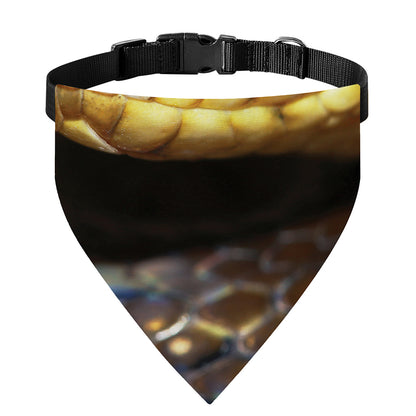 Malagasy Cat Eyed Snake Print Over The Collar Dog Bandana