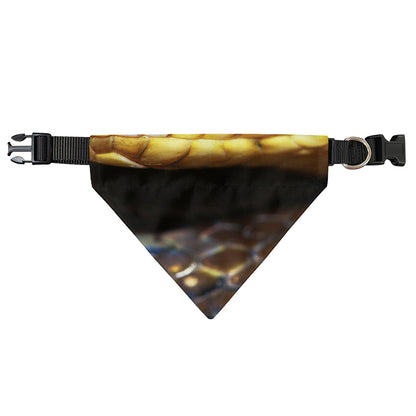 Malagasy Cat Eyed Snake Print Over The Collar Dog Bandana