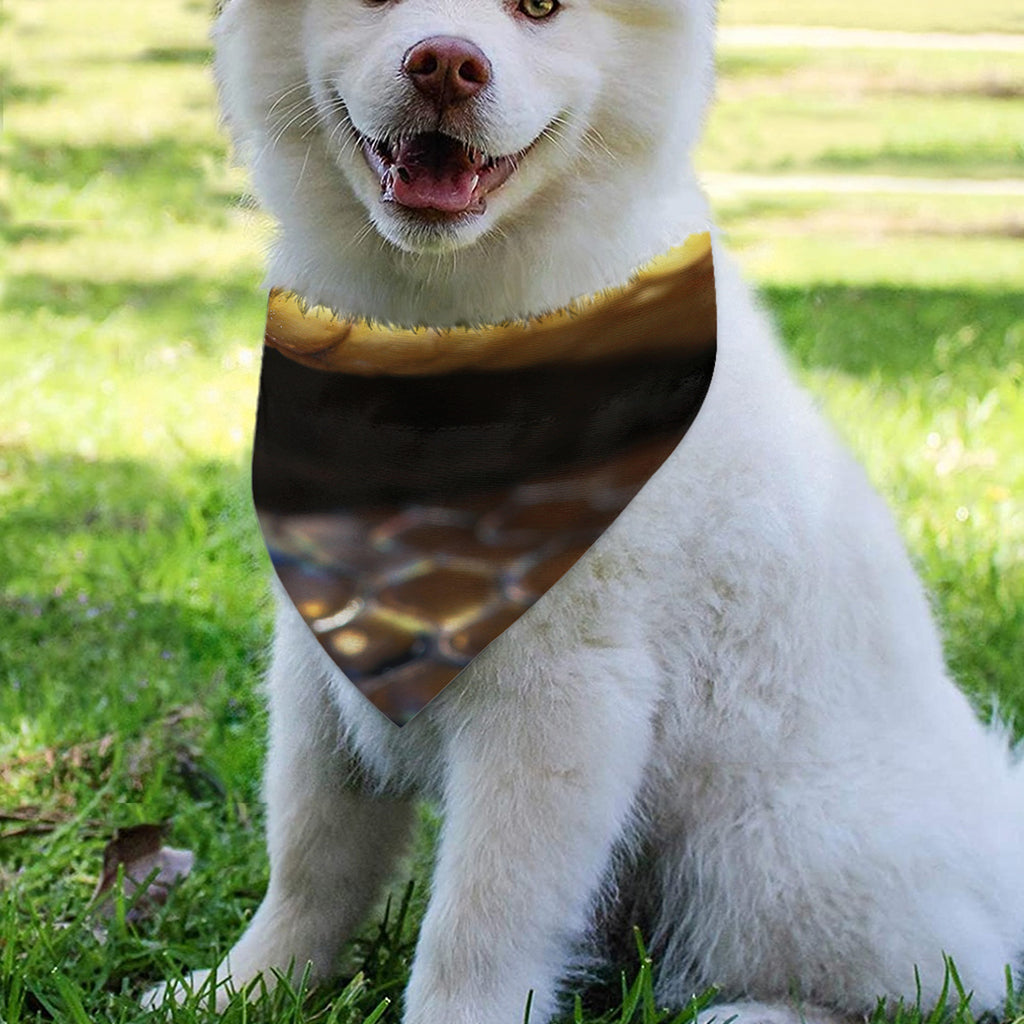 Malagasy Cat Eyed Snake Print Over The Collar Dog Bandana