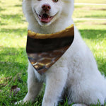 Malagasy Cat Eyed Snake Print Over The Collar Dog Bandana