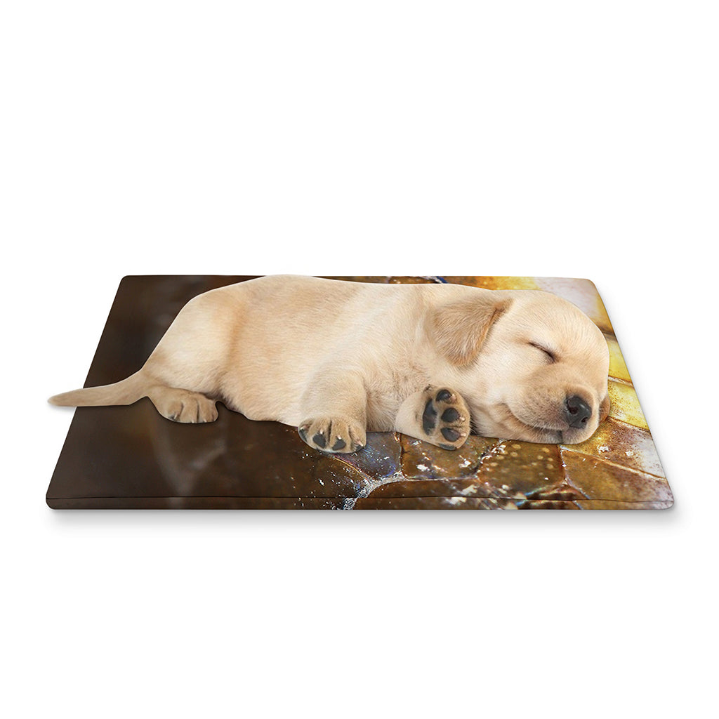 Malagasy Cat Eyed Snake Print Pet Cooling Mat Cover