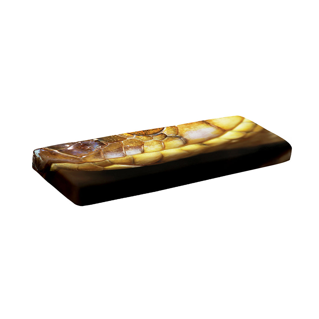 Malagasy Cat Eyed Snake Print Piano Keyboard Cover