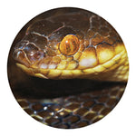 Malagasy Cat Eyed Snake Print Round Blanket