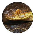 Malagasy Cat Eyed Snake Print Round Floor Mat