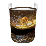 Malagasy Cat Eyed Snake Print Round Laundry Basket