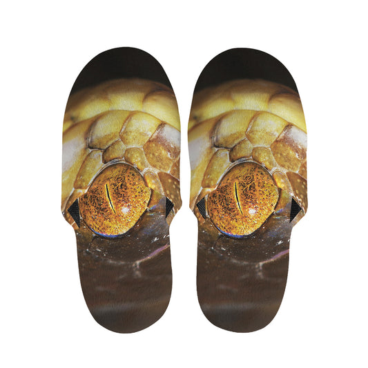 Malagasy Cat Eyed Snake Print Slippers