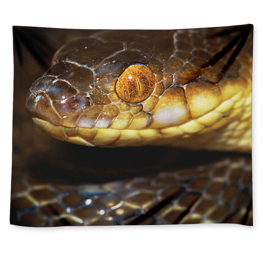 Malagasy Cat Eyed Snake Print Tapestry