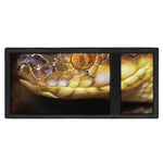 Malagasy Cat Eyed Snake Print Trifold Wallet