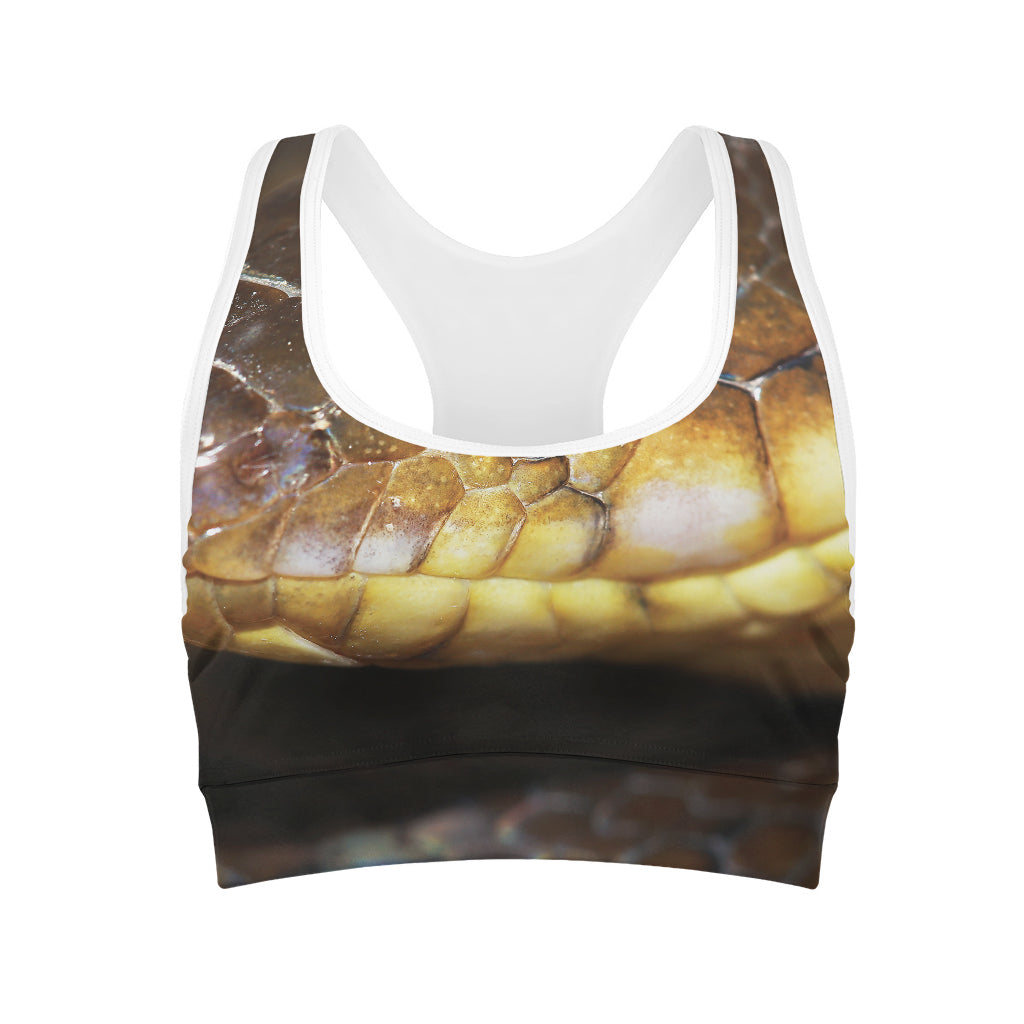 Malagasy Cat Eyed Snake Print Women's Sports Bra