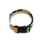 Mango Fruit Striped Pattern Print Dog Collar