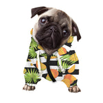 Mango Fruit Striped Pattern Print Dog Zip Up Hoodie
