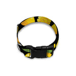 Mango Pattern Print Dog Collar