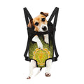Manipura Chakra Spiritual Print Pet Carrier Backpack