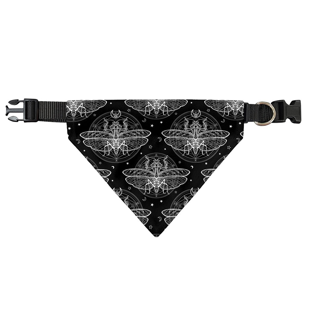 Mantis Spirit Animal Pattern Print Over The Collar Dog Bandana