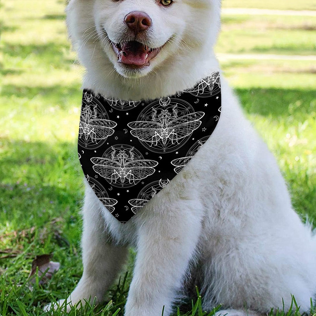 Mantis Spirit Animal Pattern Print Over The Collar Dog Bandana