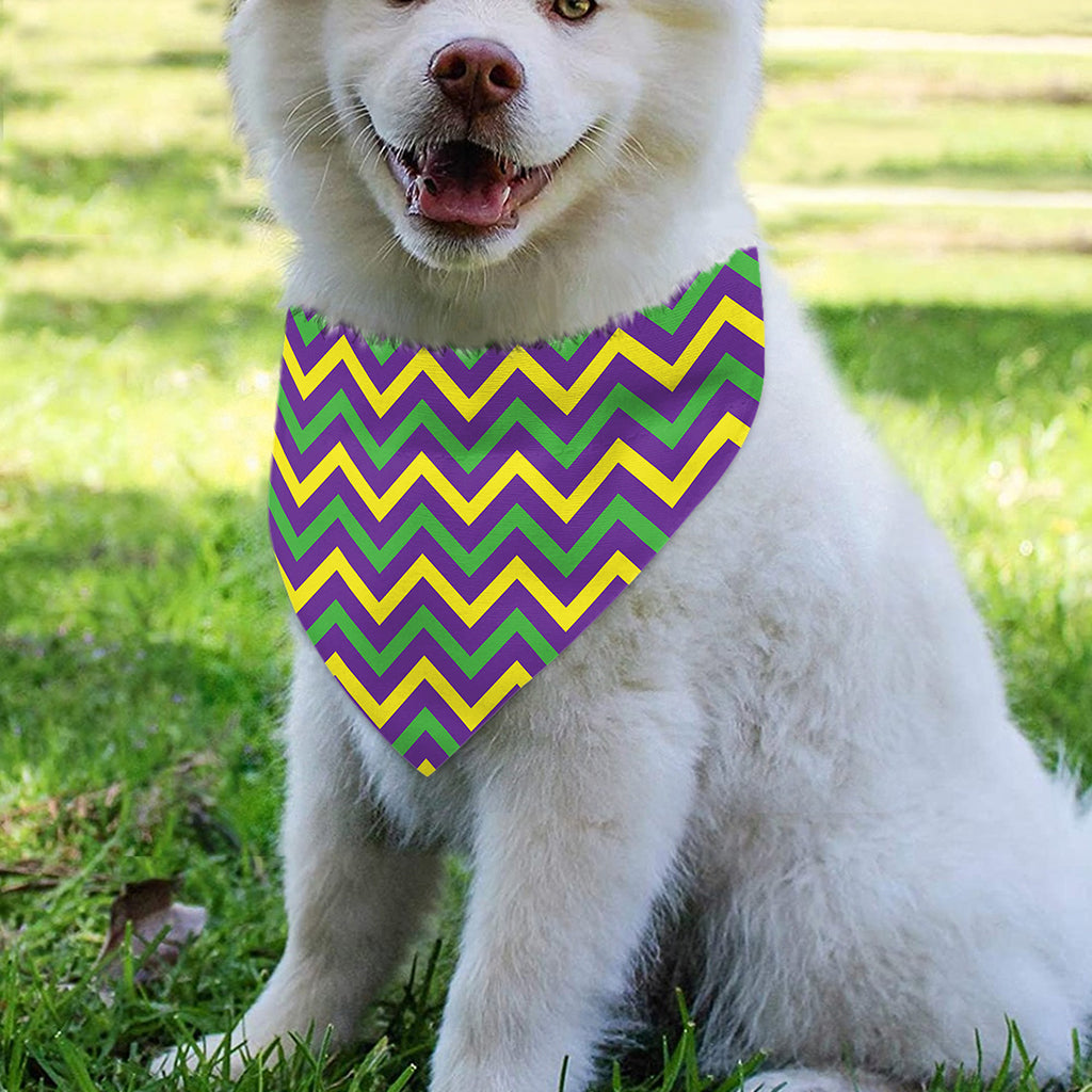 Mardi Gras Chevron Pattern Print Over The Collar Dog Bandana