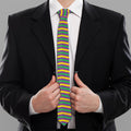 Mardi Gras Fat Tuesday Chevron Print Necktie