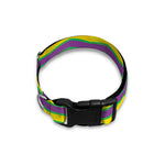 Mardi Gras Fat Tuesday Zigzag Print Dog Collar