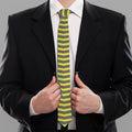 Mardi Gras Fat Tuesday Zigzag Print Necktie
