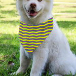 Mardi Gras Fat Tuesday Zigzag Print Over The Collar Dog Bandana