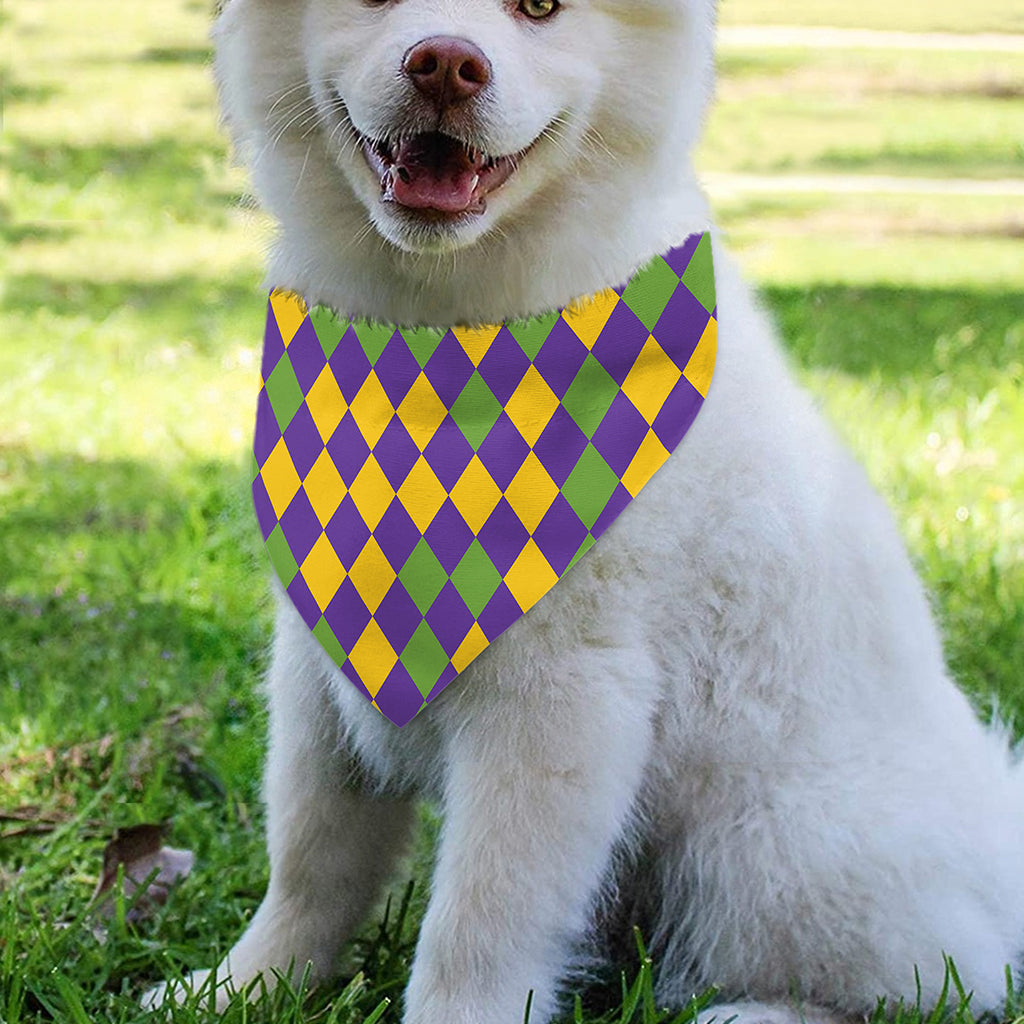 Mardi Gras Harlequin Pattern Print Over The Collar Dog Bandana