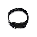 Masonic Eye Pattern Print Dog Collar