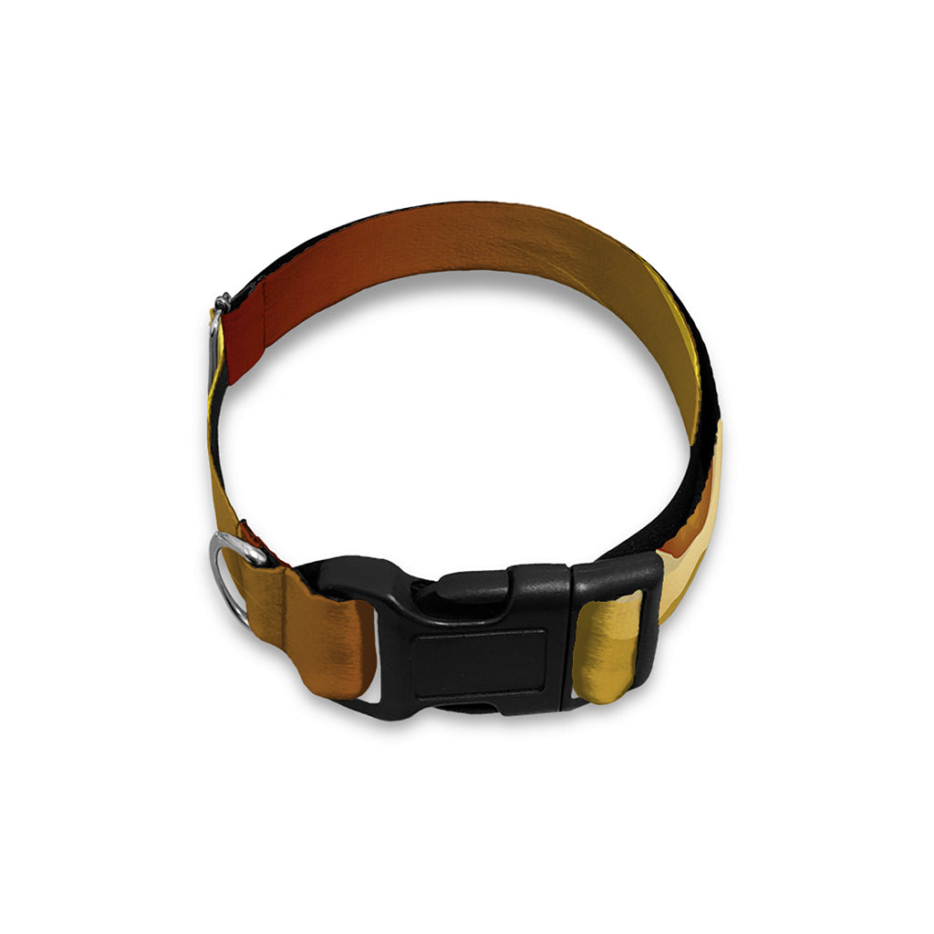 Masonic Eye Sight Print Dog Collar