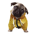 Masonic Eye Sight Print Dog Zip Up Hoodie