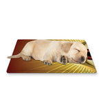 Masonic Eye Sight Print Pet Cooling Mat Cover