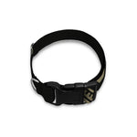 Masonic Freemasonry Print Dog Collar