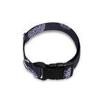 Maya Symbol Pattern Print Dog Collar