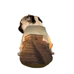 Mayan Pyramid Print Dog Zip Up Jacket