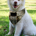 Mayan Stone Print Over The Collar Dog Bandana