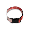 Meat Print Dog Collar