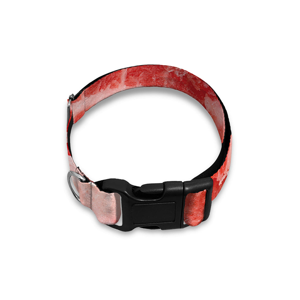 Meat Print Dog Collar