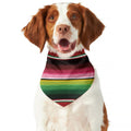 Mexican Serape Blanket Pattern Print Dog Bandana