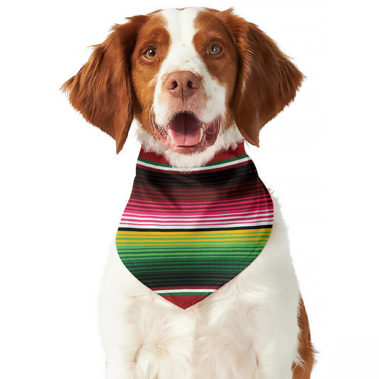 Mexican Serape Blanket Pattern Print Dog Bandana