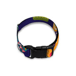 Mexican Skull Cinco de Mayo Print Dog Collar