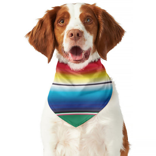 Mexican Striped Blanket Pattern Print Dog Bandana