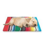 Mexican Striped Blanket Pattern Print Pet Cooling Mat Cover